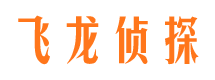 樊城侦探